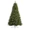 7.5ft. Pre-Lit Golden Tip Washington Pine & Pinecones Artificial Christmas Tree with Clear Lights